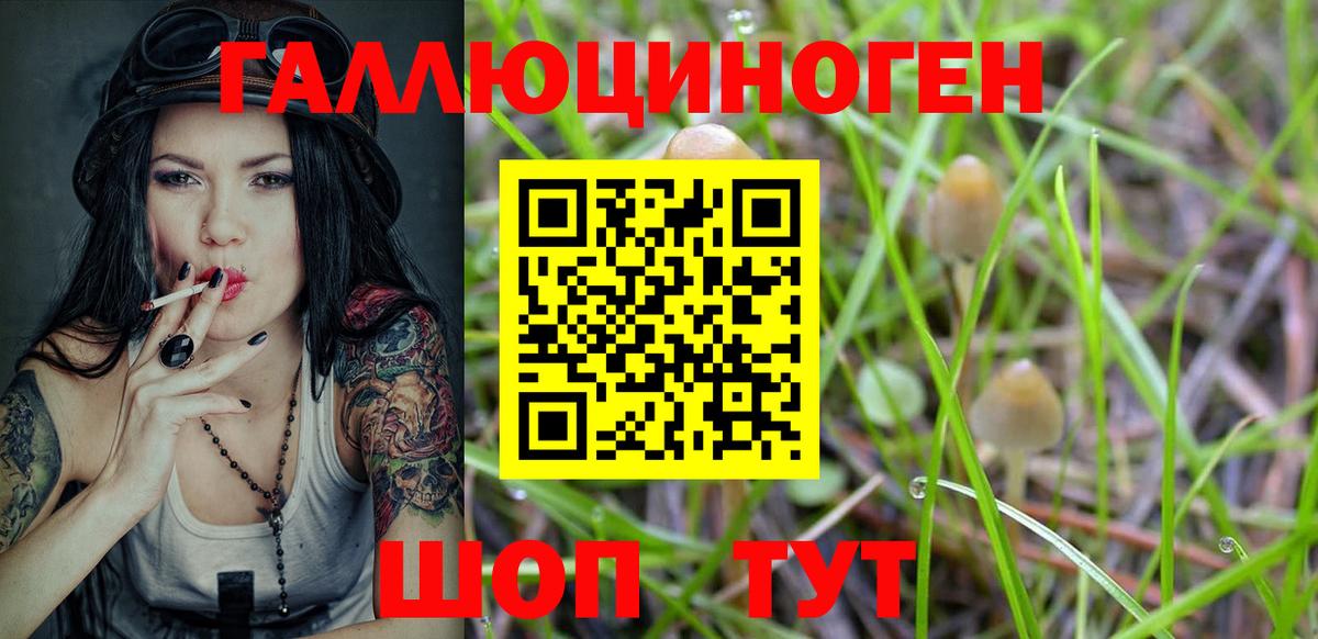 Псилоцибиновые грибы прущие грибы Тверь
