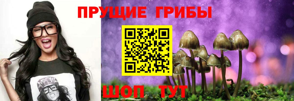 Тверь  Псилоцибиновые грибы MAGIC MUSHROOMS  Псилоцибиновые грибы MAGIC MUSHROOMS  Вход с VPN 
